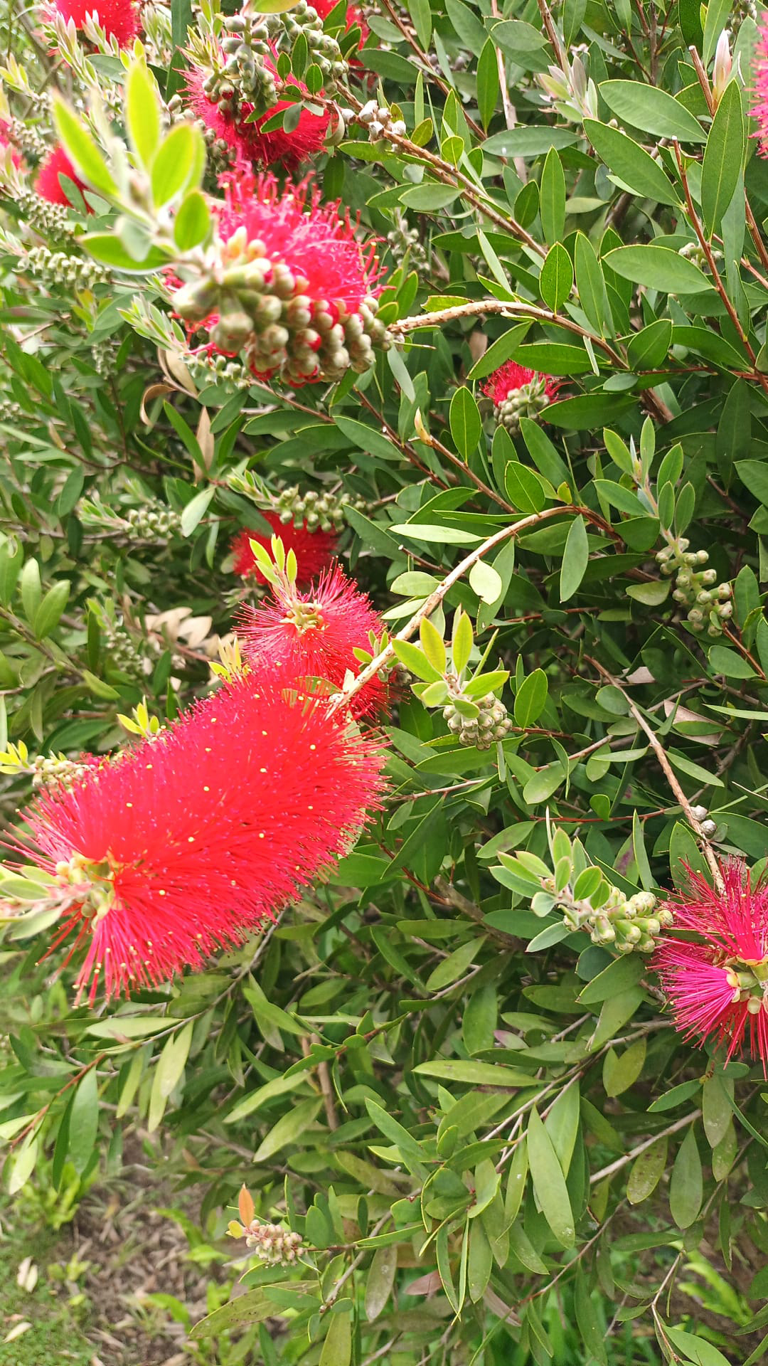 IMG-20230520-WA0005